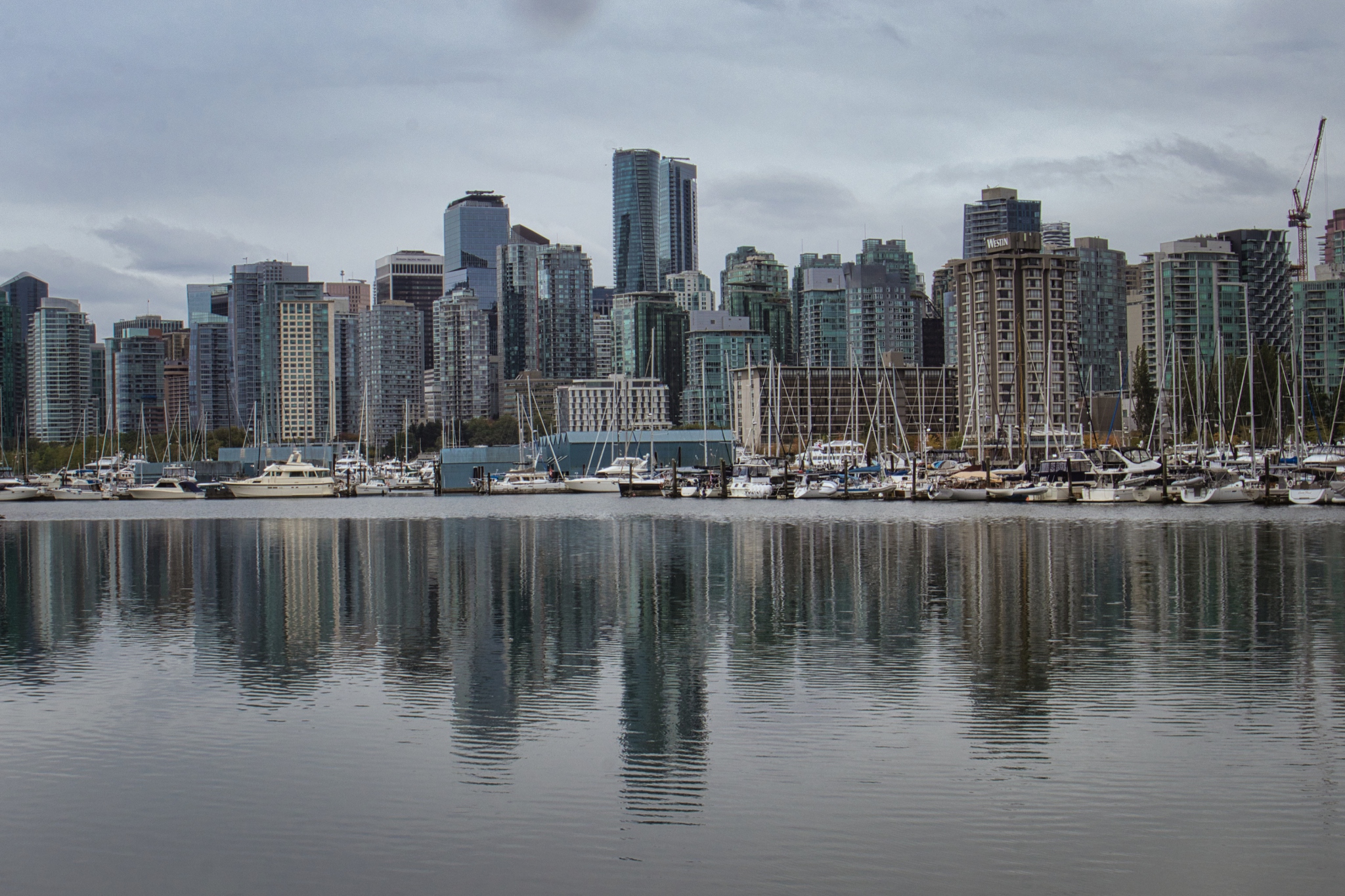 Vancouver – Die Stadt wo Pazifik und Costal Mountains aufeinandertreffen