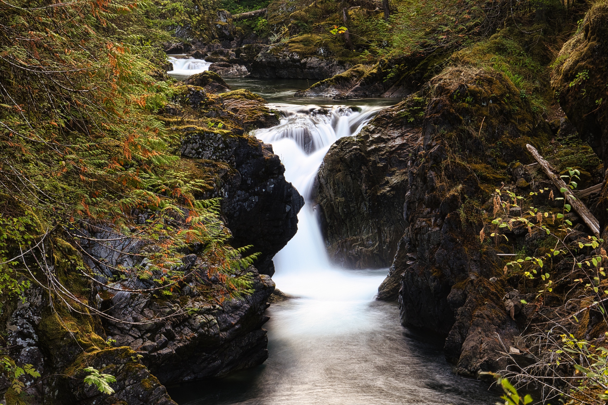 Vancouver Islands Ostufer: Wo Wildnis und Wasser eins werden